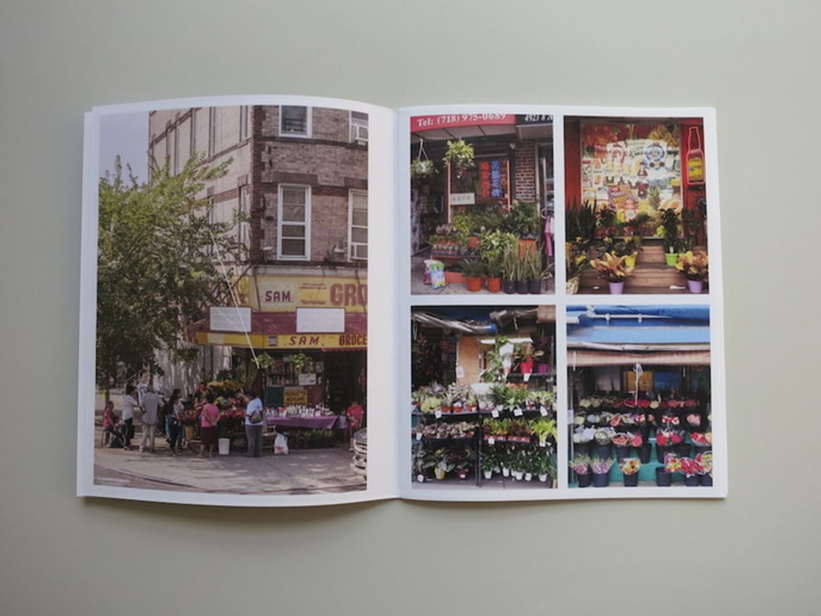 Plantlife/NYC thumbnail 4