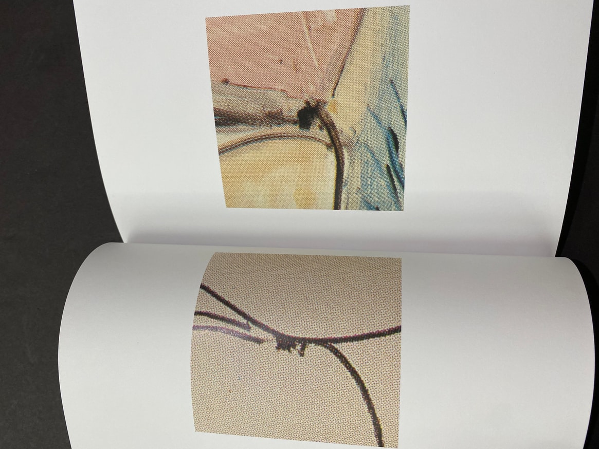 PIcasso's Assholes thumbnail 2