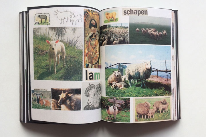 Animal Books For Jaap Zeno Anna Julian Luca thumbnail 4