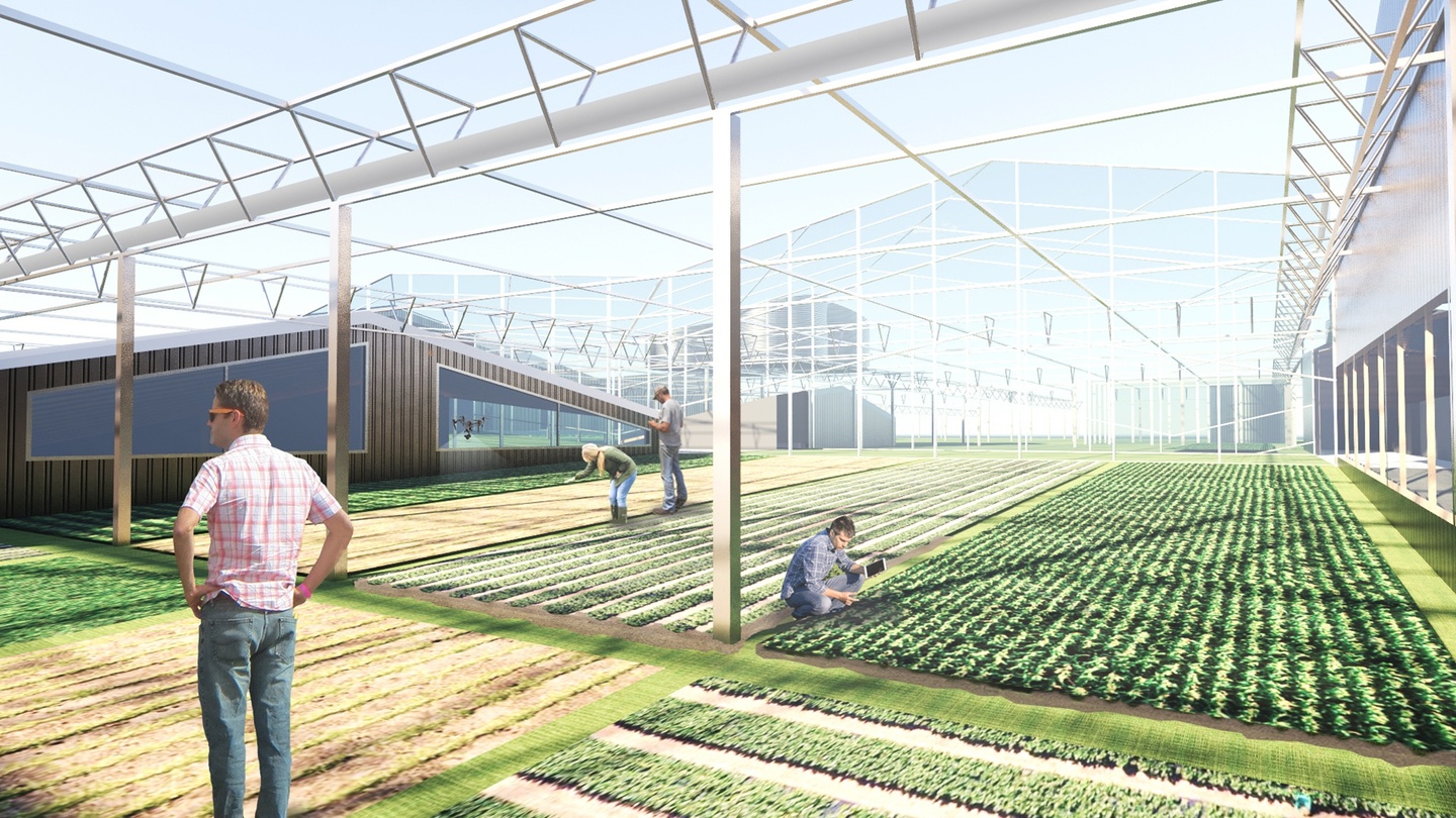 Computer rendering of an interior view of a greenhouse with a vertically clad building in the background and another space looking into the greenhouse space. Figures are working in the greenhouse.