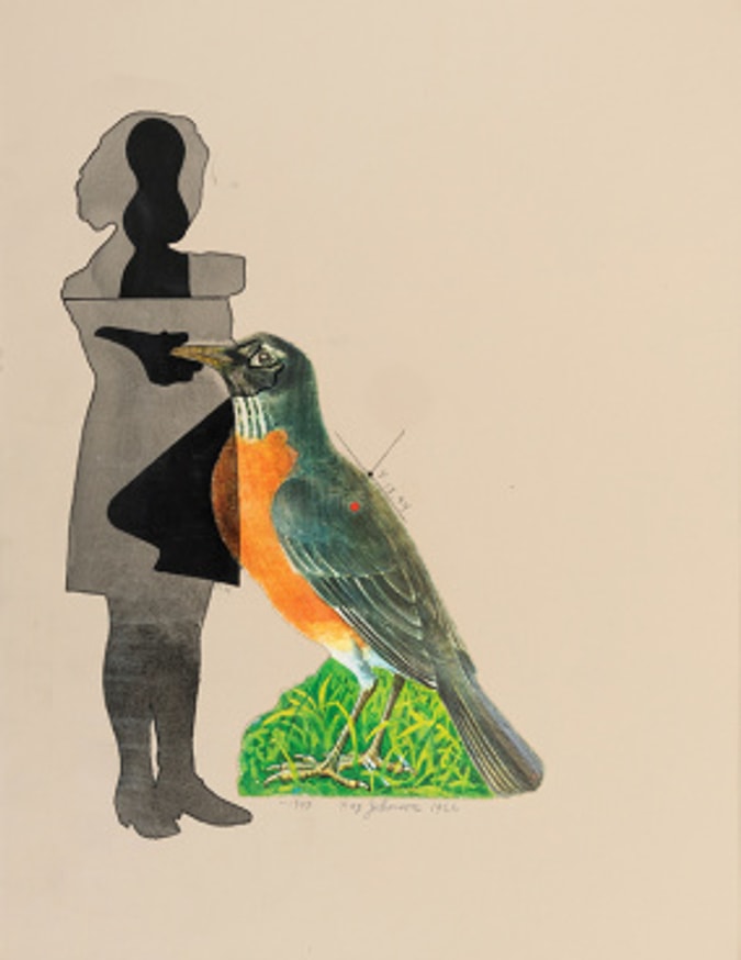 Ray Johnson and William S. Wilson: Frog Pond Splash thumbnail 3