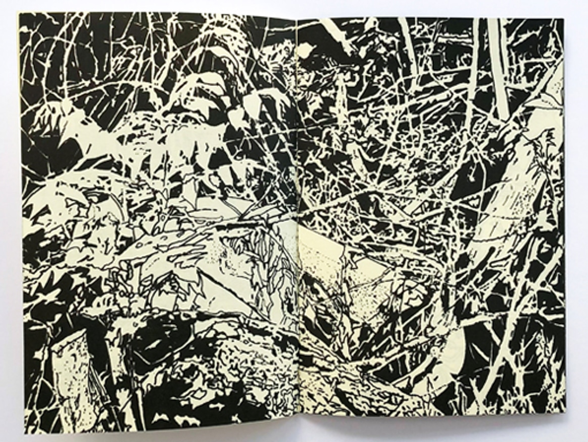 Vague Terrains / Urban Fuckups thumbnail 3