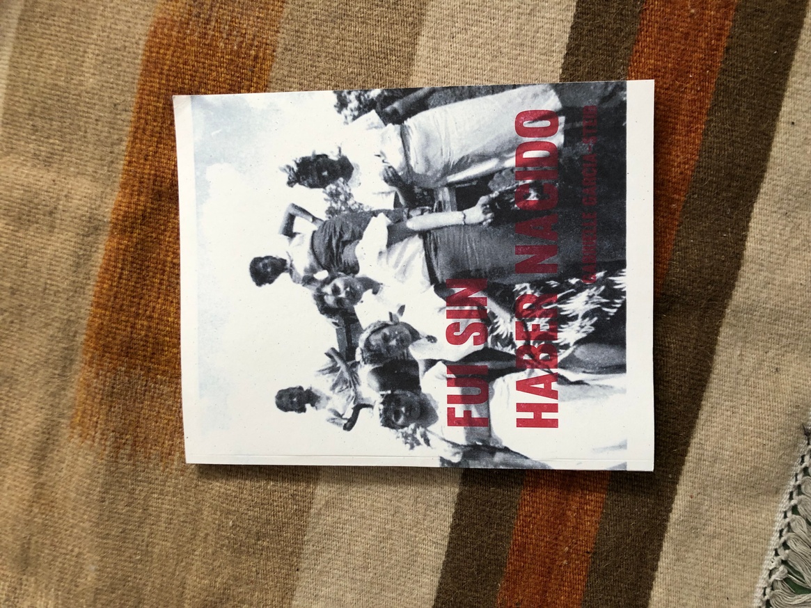 Gabrielle Garcia Steib Fui Sin Haber Nacido Printed Matter