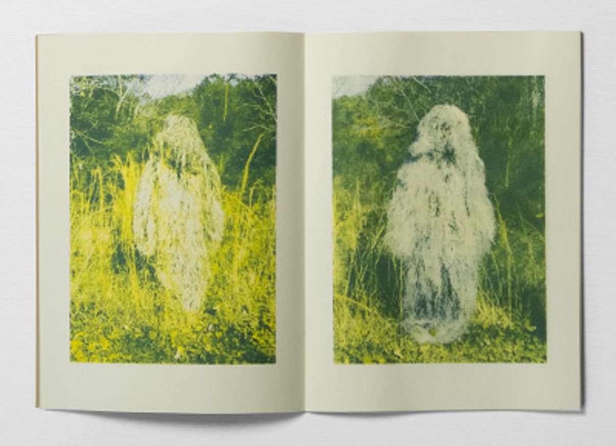 20 Walking Bushes thumbnail 5