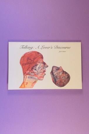 Talking : A Lover's Discourse