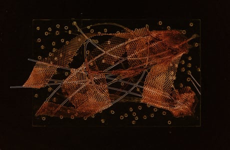 Convert?w=460&compress=true