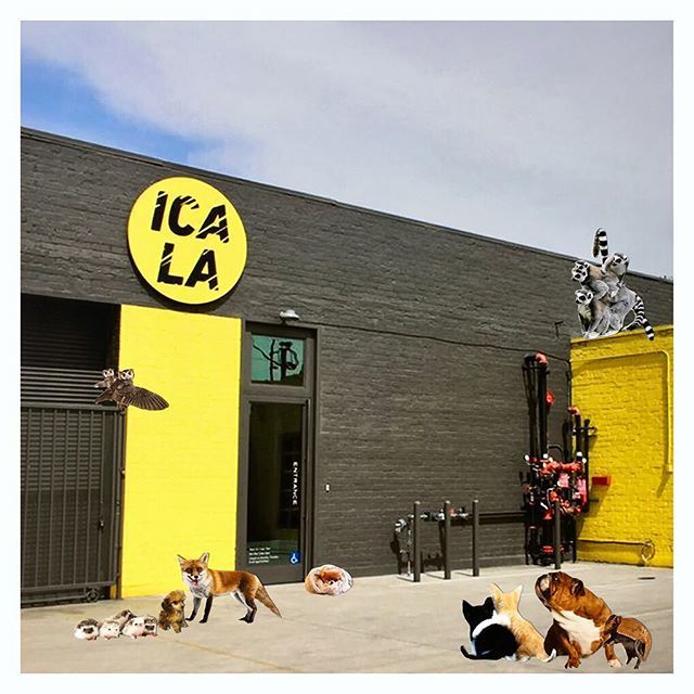 H6kxegftspspqnu3hqow?&fit=max