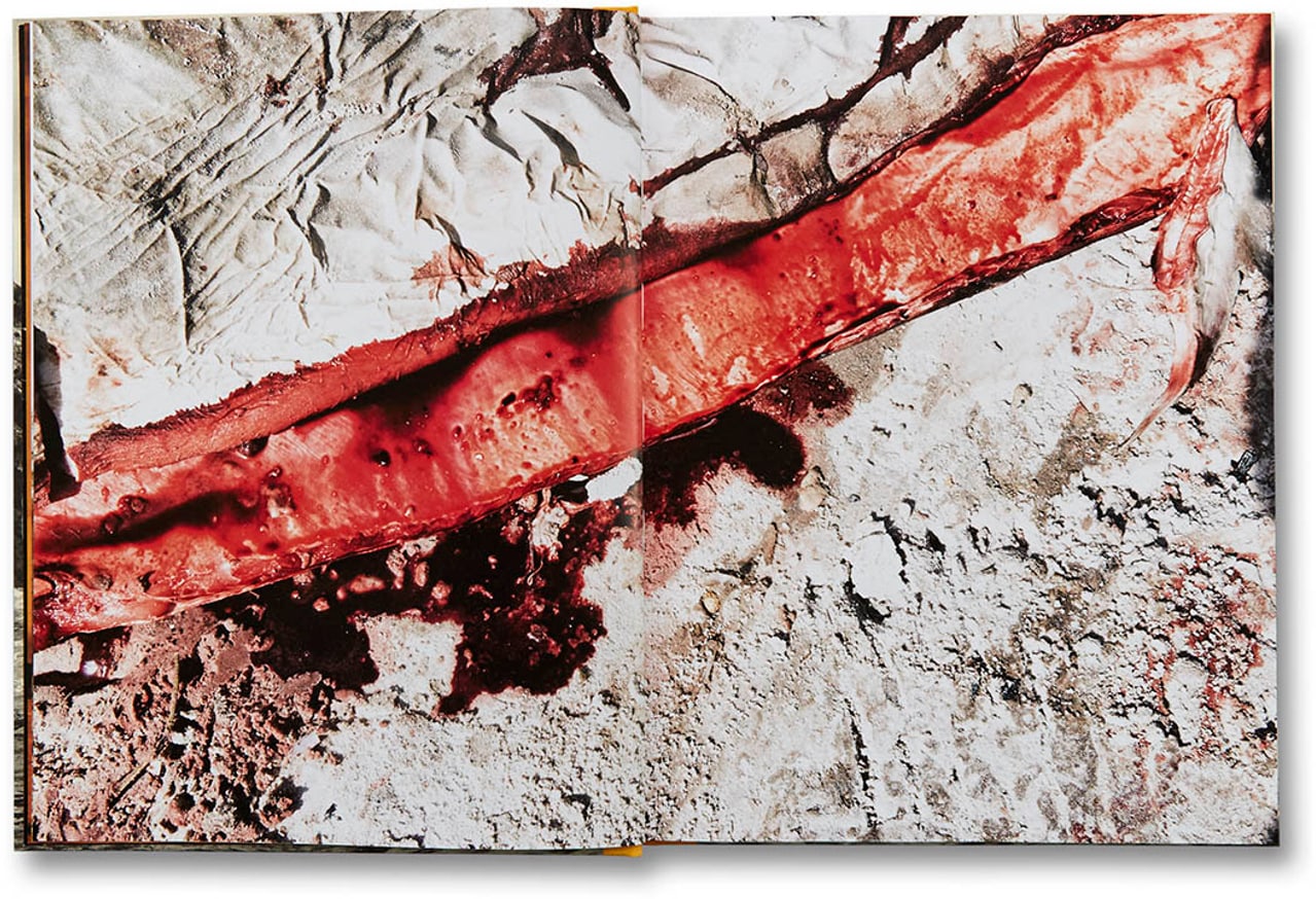 Nothing's In Vain thumbnail 7