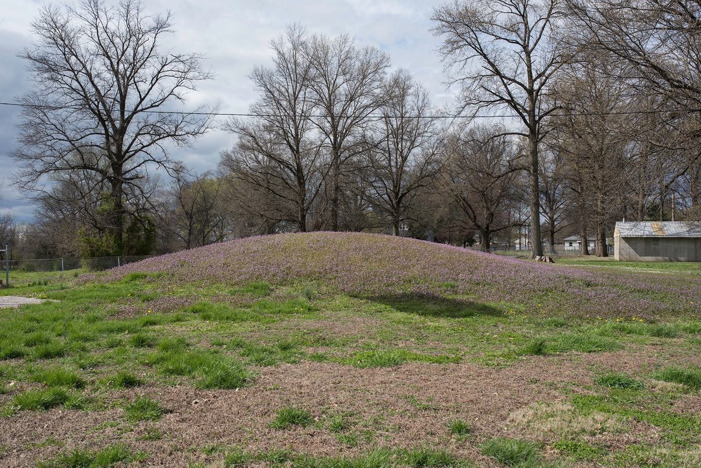 A mound with patches of green grass here and there; beyond it are a shed/buildings and several bare trees.