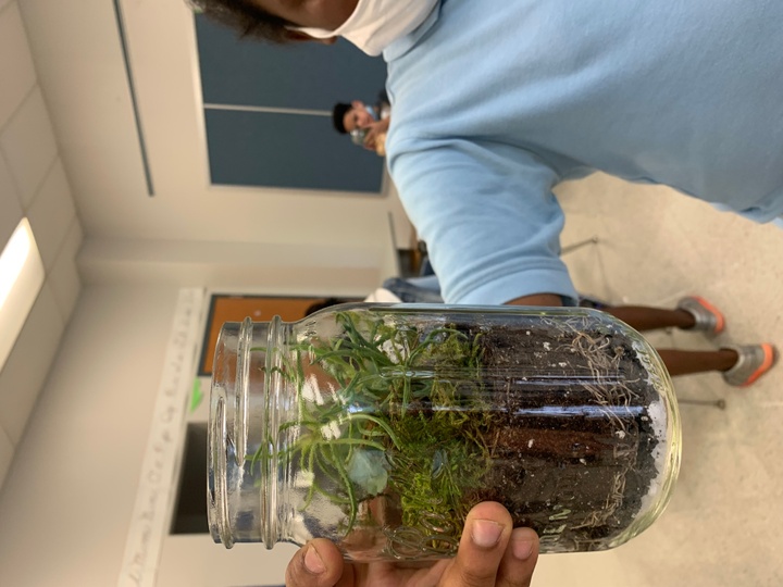 A young person holds up a glass jar with plant material and soil in it. 