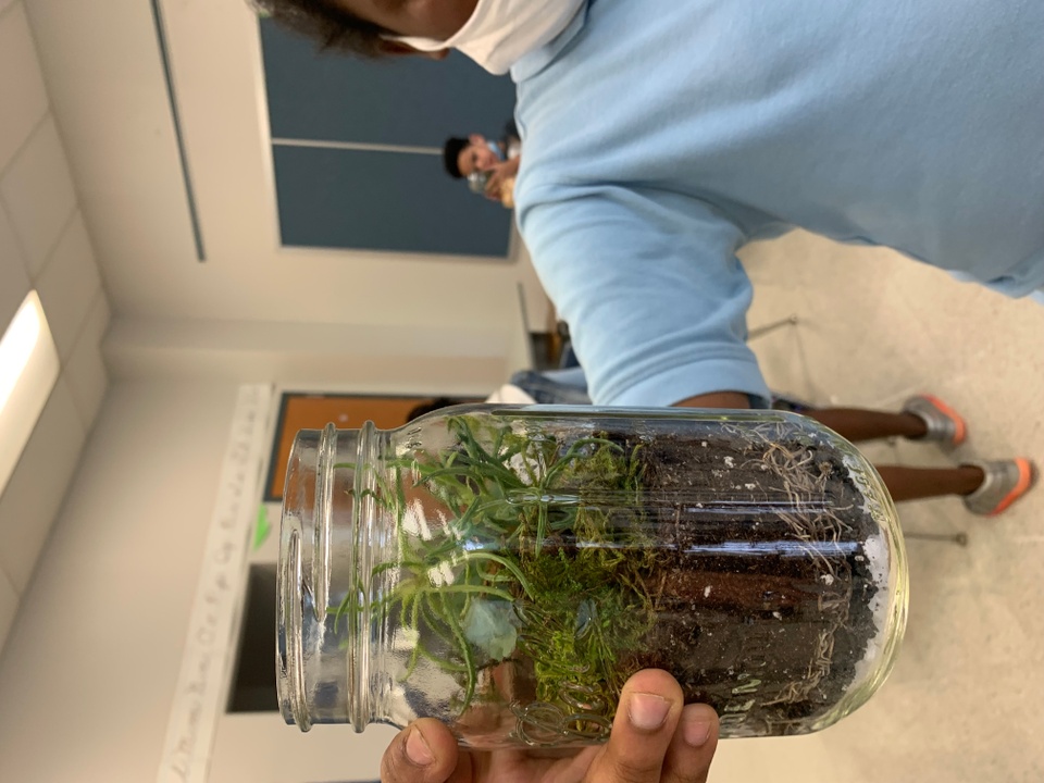 A young person holds up a glass jar with plant material and soil in it. 