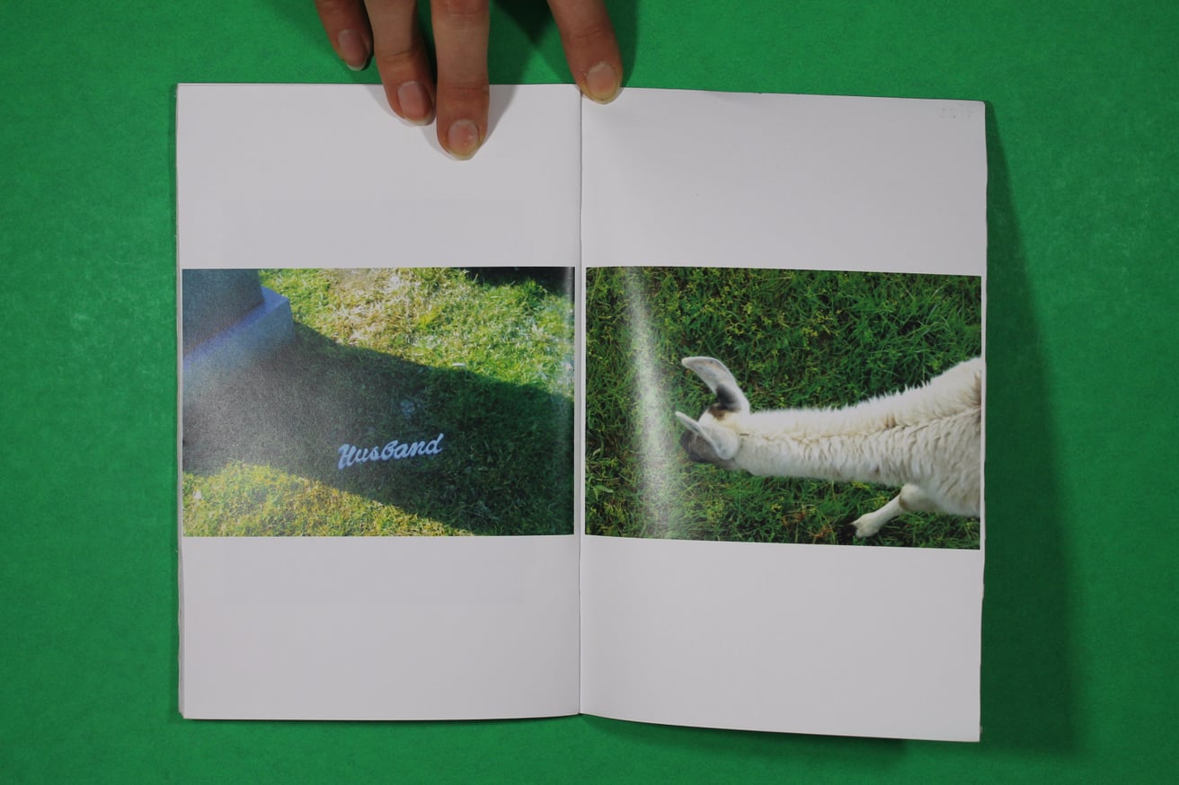 White Fish Salad thumbnail 3