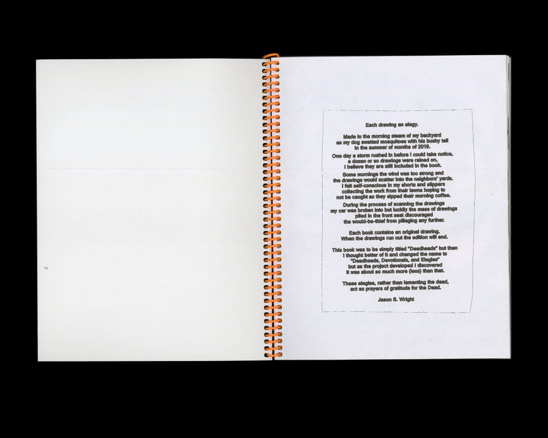 Deadheads, Devotionals, and Elegies thumbnail 2