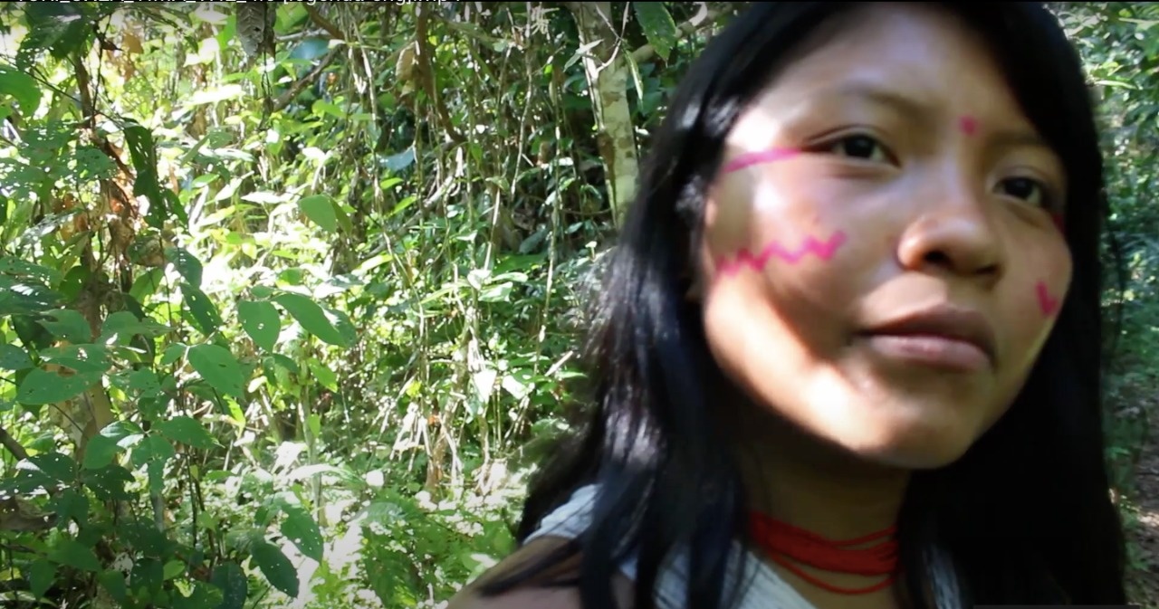 A portrait of artist Roseane Yariana. An Indigenous Yanomami woman, Roseane has straight dark hair to her shoulders. She is seen in a close up on her face against a background of green leaves illuminated by sunlight. Her face is painted with red designs on her cheeks and temples. She looks pensively beyond the camera. 