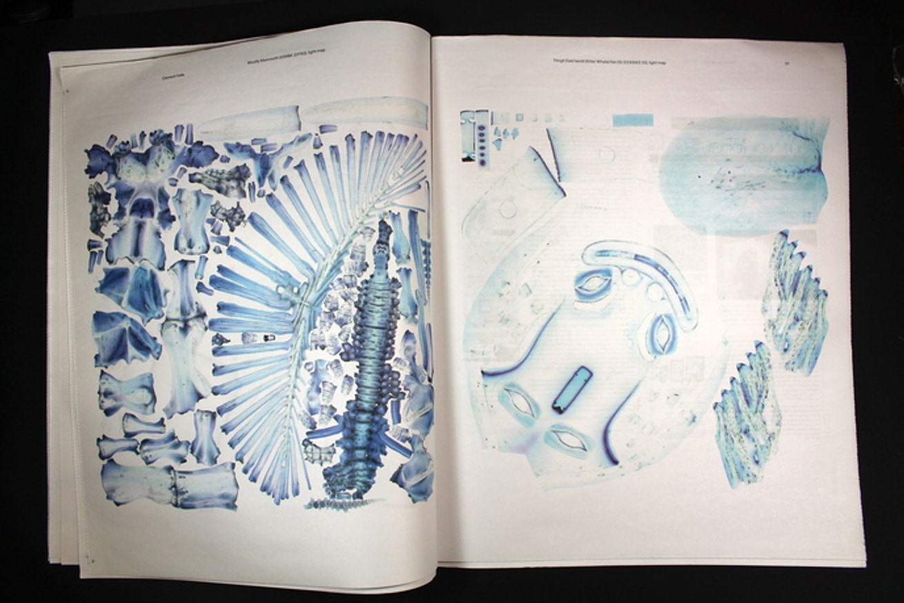 Printed Web thumbnail 6