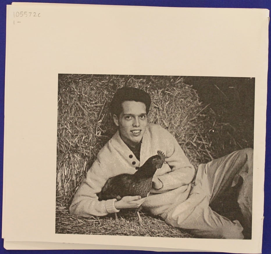 Steve Buscemi thumbnail 5