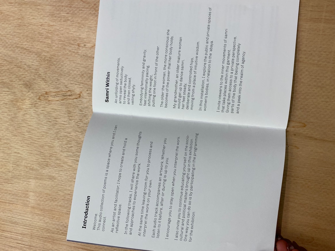 Invisibly Visible: Poetry Collection thumbnail 3