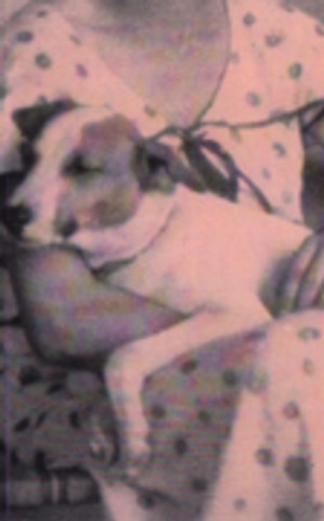 Instructions Aux Domestiques