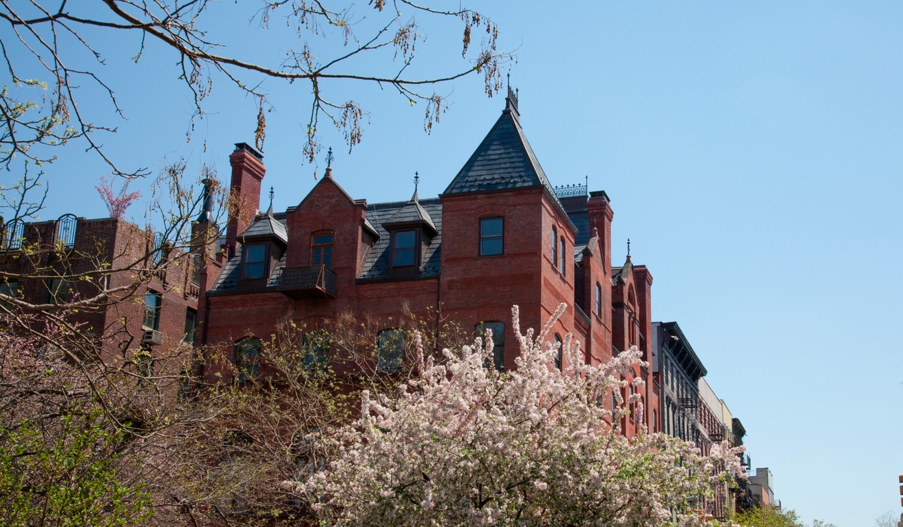 East Village: Lens on the Lower East Side thumbnail 2