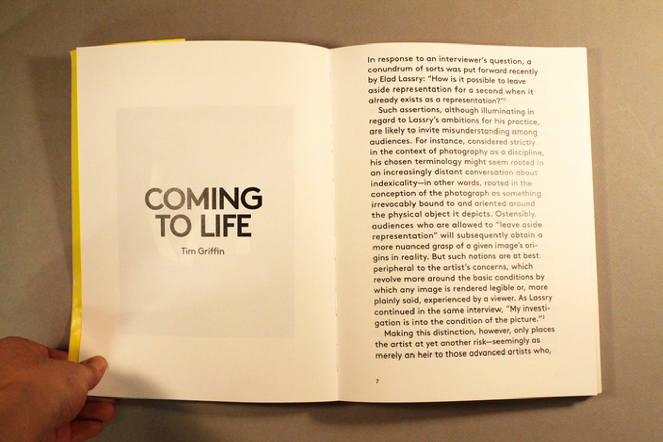 2000 Words : Elad Lassry thumbnail 6