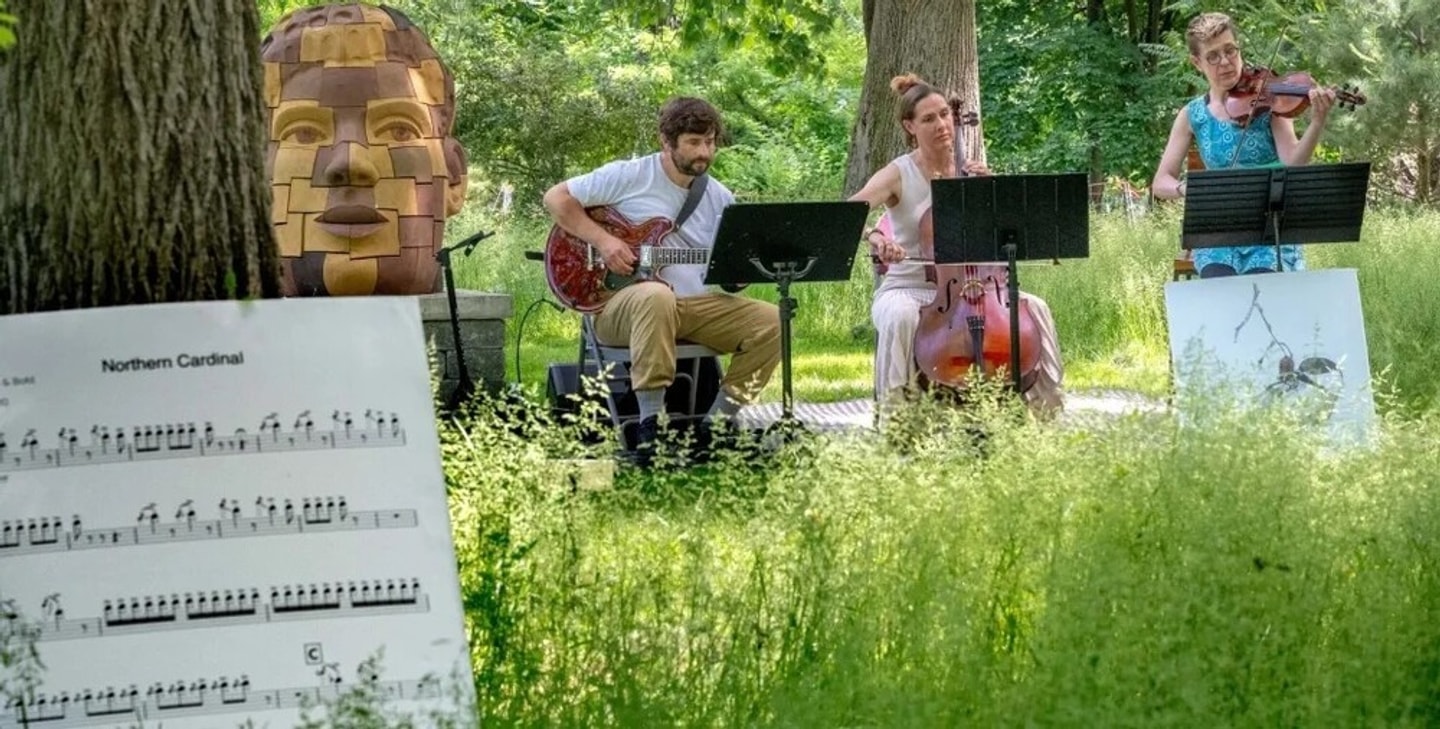 Three string musicians perform in a grassy outdoor environment. Sheet music is visible in the foreground on the left side, and public artwork is visible in the background near the musicians. 