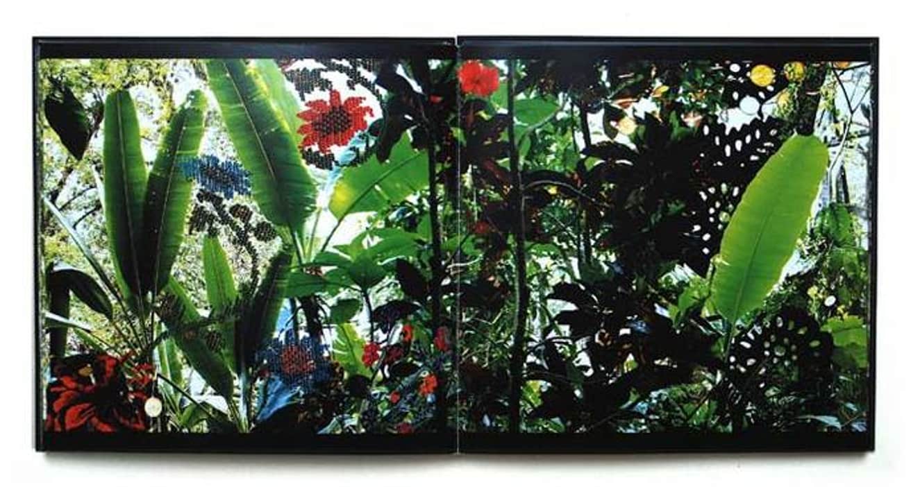 In Mexico thumbnail 2