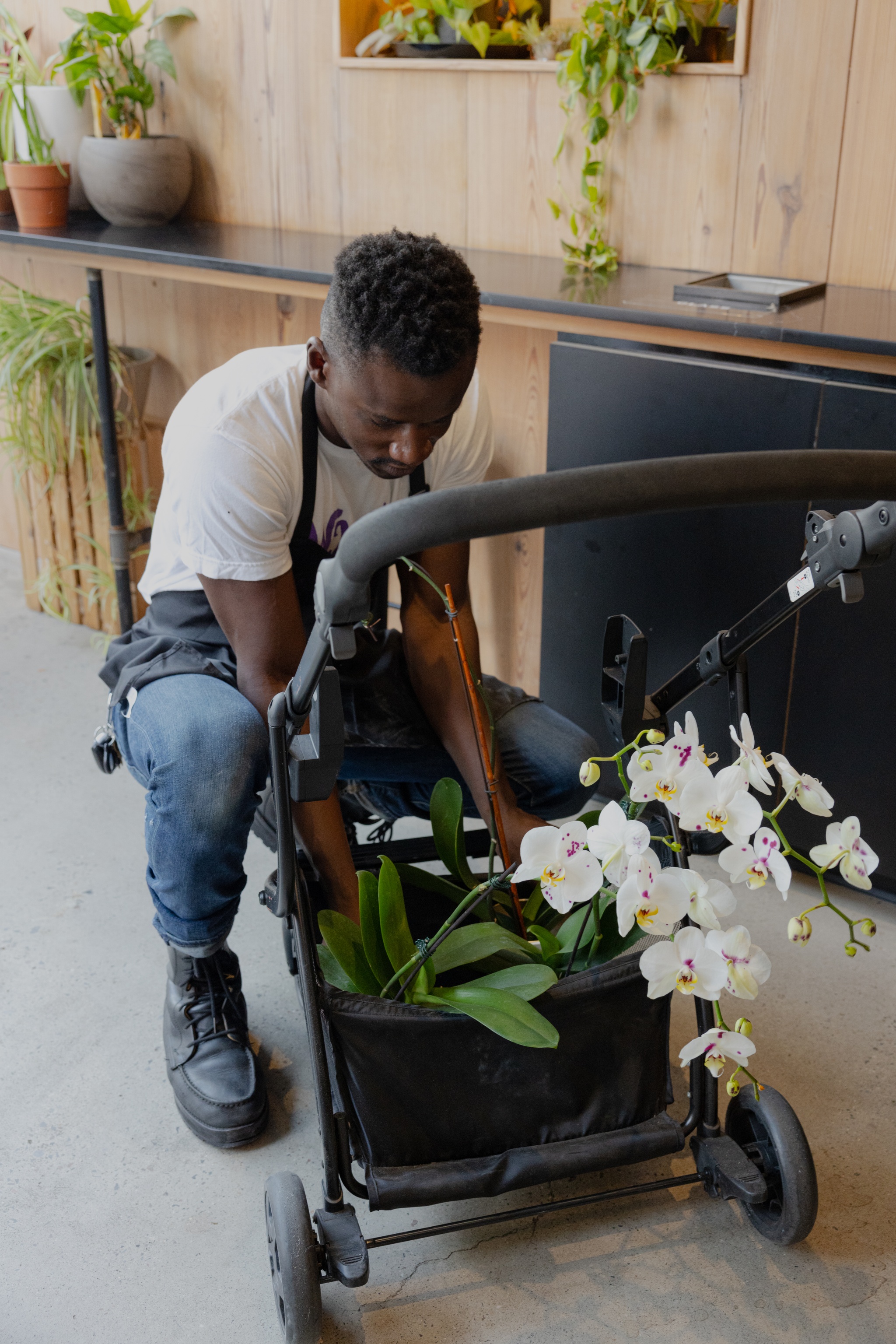 Artist Jeffrey Meris, a Black man with short hair and a fade around the sides of his head, kneels in front of a stroller in a café. He is looking down at the white orchids he is arranging in the stroller. 