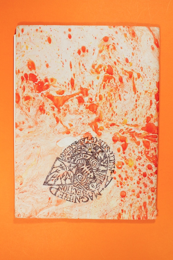 Magnified Section thumbnail 2