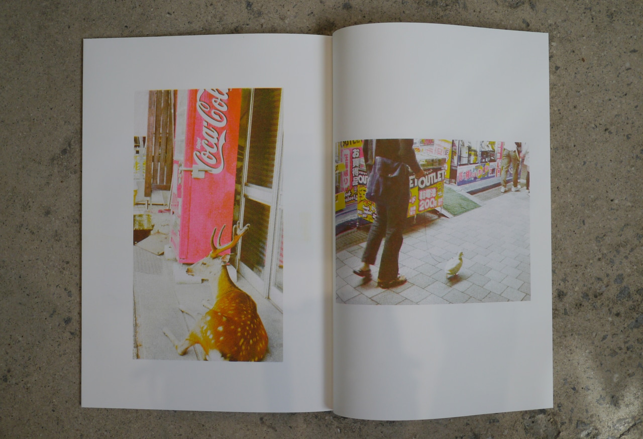 Animals only / Bare bilder av dyr thumbnail 2