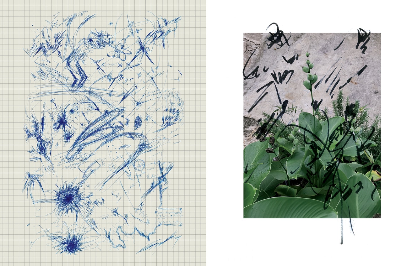 Without A Care Lake thumbnail 2