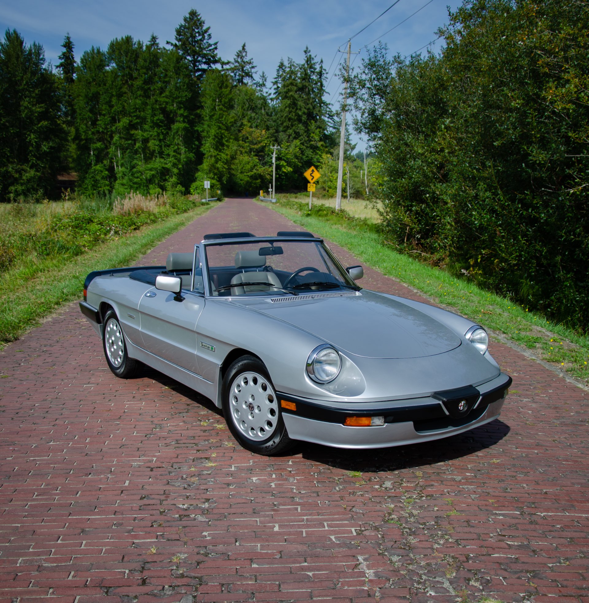 1990 Alfa Romeo Spider - Photo 14