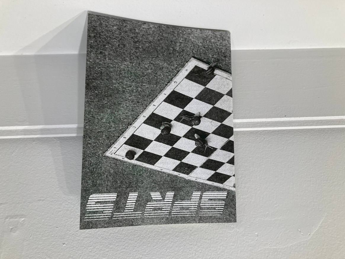 SPRTS SPCL EDN : CHESS