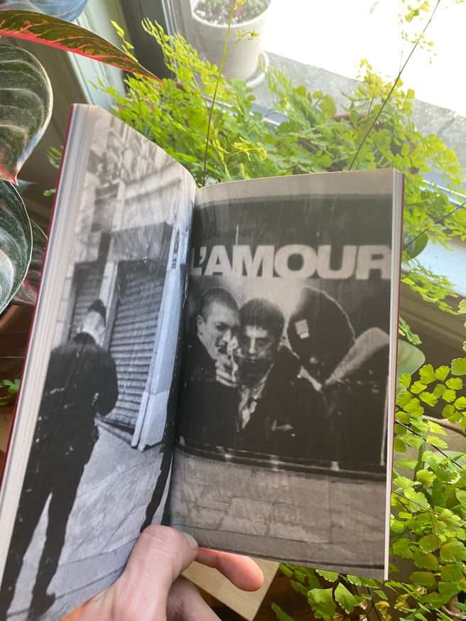 Diversity of Aesthetics Vol. 2 thumbnail 3