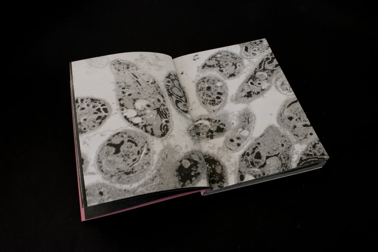 Delusion is a lie that tells the truth thumbnail 5