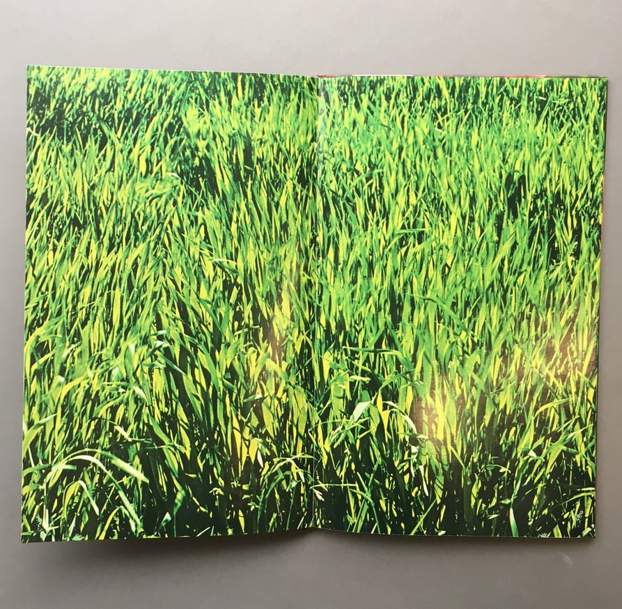 Clinkscale thumbnail 3