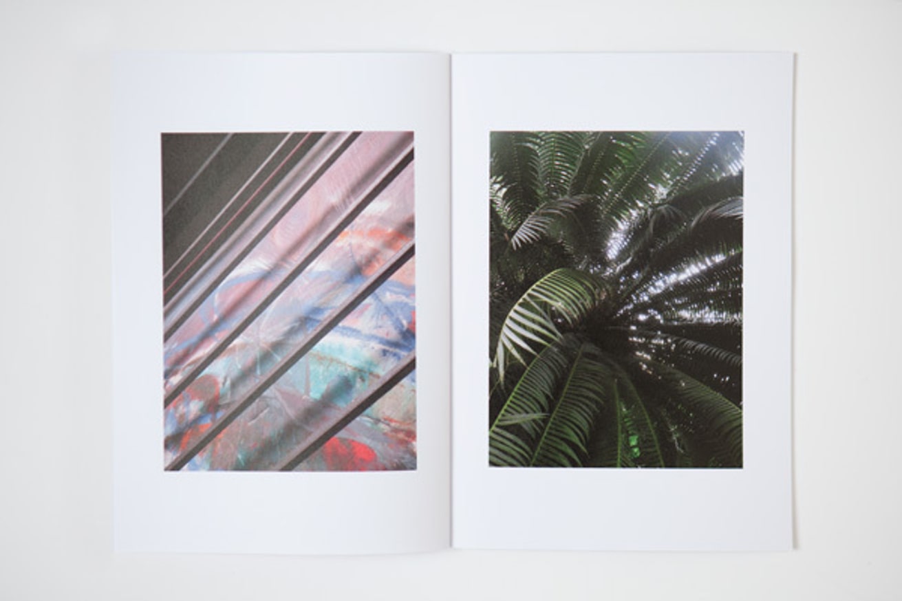 No Shore thumbnail 4