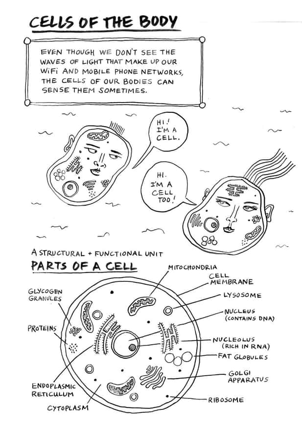 Cells Get Tan, Too thumbnail 4