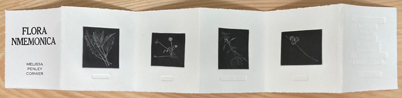  Flora Nmemonica thumbnail 2