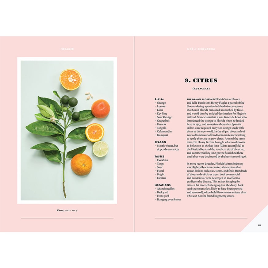 Forager: A Subjective Guide to Miami's Edible Plants thumbnail 2