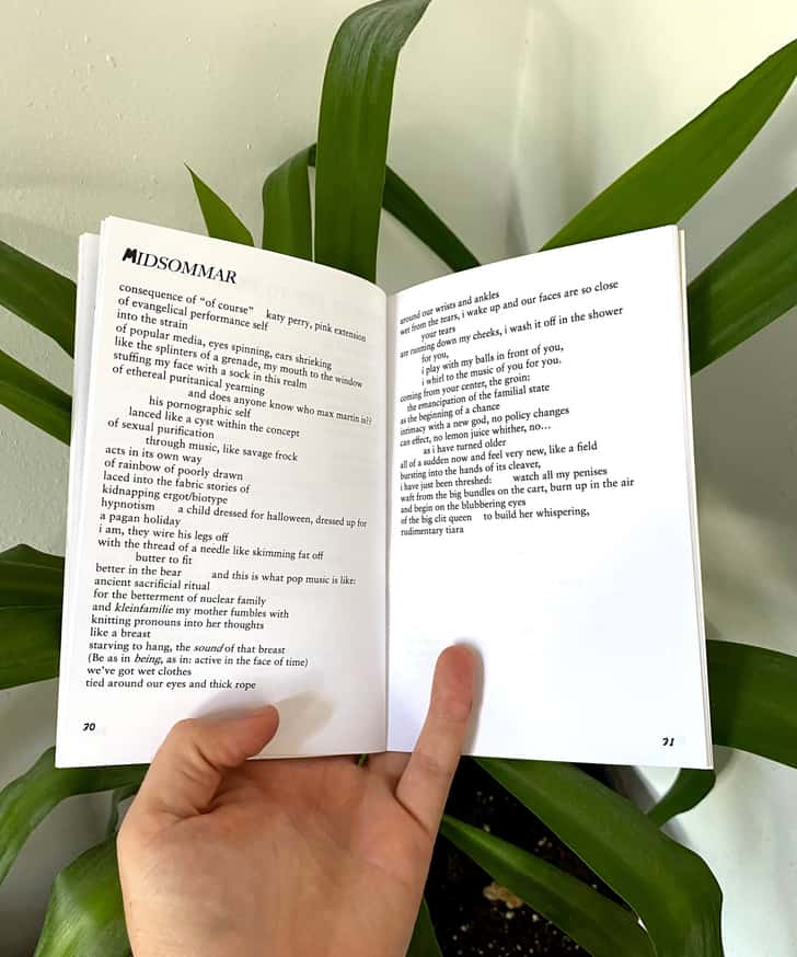 Cumflower thumbnail 2