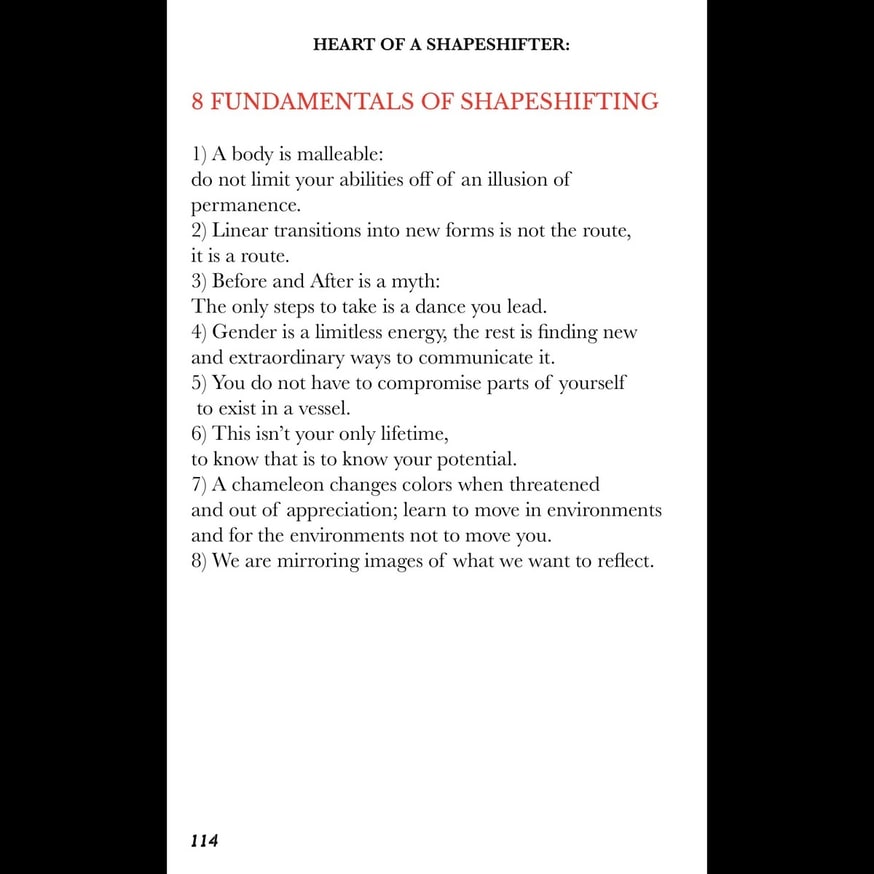 Heart of a Shapeshifter: 2Spirit Love Medicine thumbnail 5