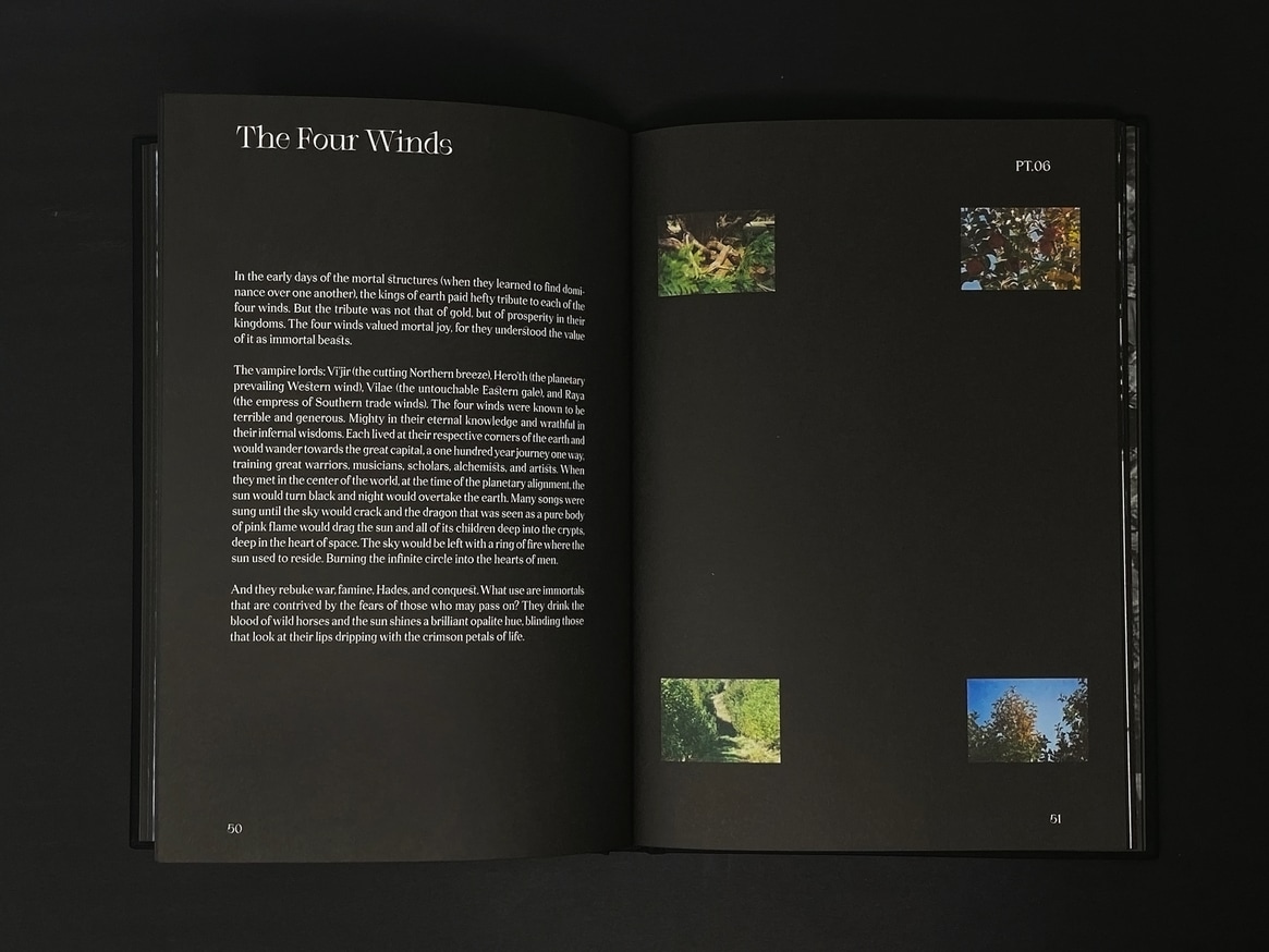 Hunters Follow Harpy Shadows thumbnail 4