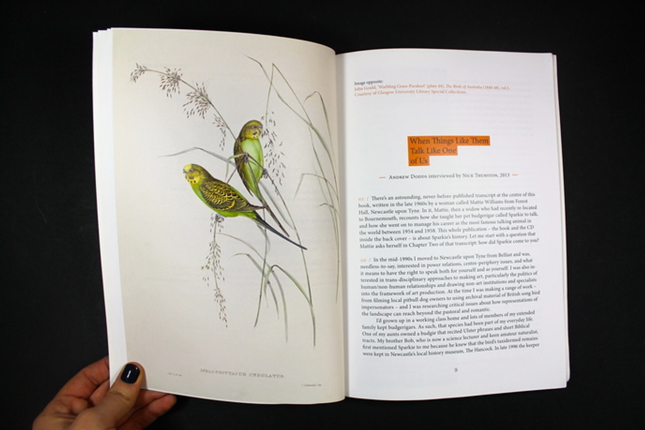 I, Sparkie thumbnail 5