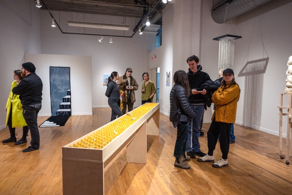 Several groups of people stand in a gallery space showing several different types of works - sculptural, quilted textiles, and prints.