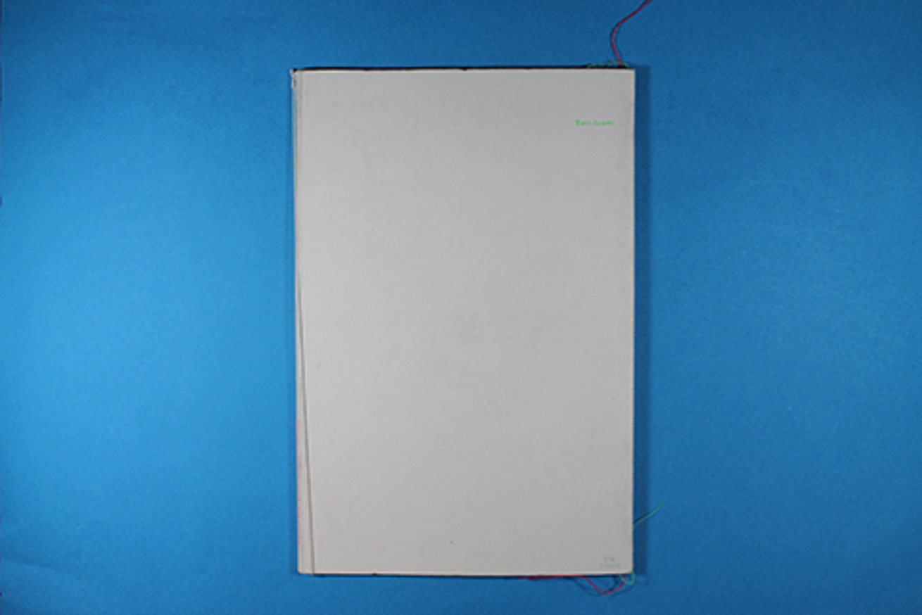 Pigeon's Riot / Trolley thumbnail 4