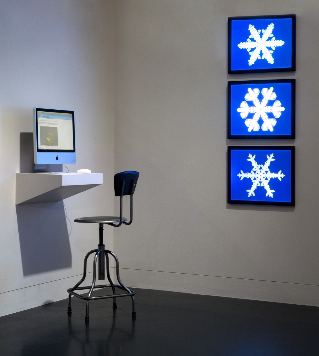 Installation view of John Conway's Game of Life and Janko Gravner and David Griffeath's *Modeling Snow Crystal Growth*, *Sixfold Symmetry: Pattern in Art and Science*, Tang Teaching Museum, 2016