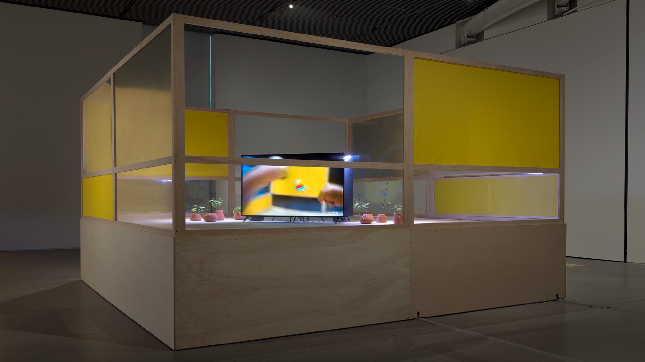 A wooden structure roughly the size and form of a boxing ring sits in an art gallery. At its center is a video screen with a video of the artist's hands as she does boxing exercises.