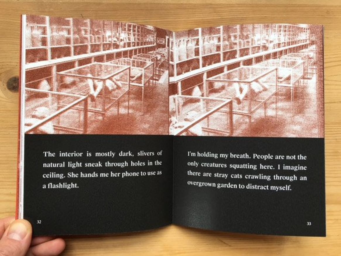 Go-Rilla Means War thumbnail 2