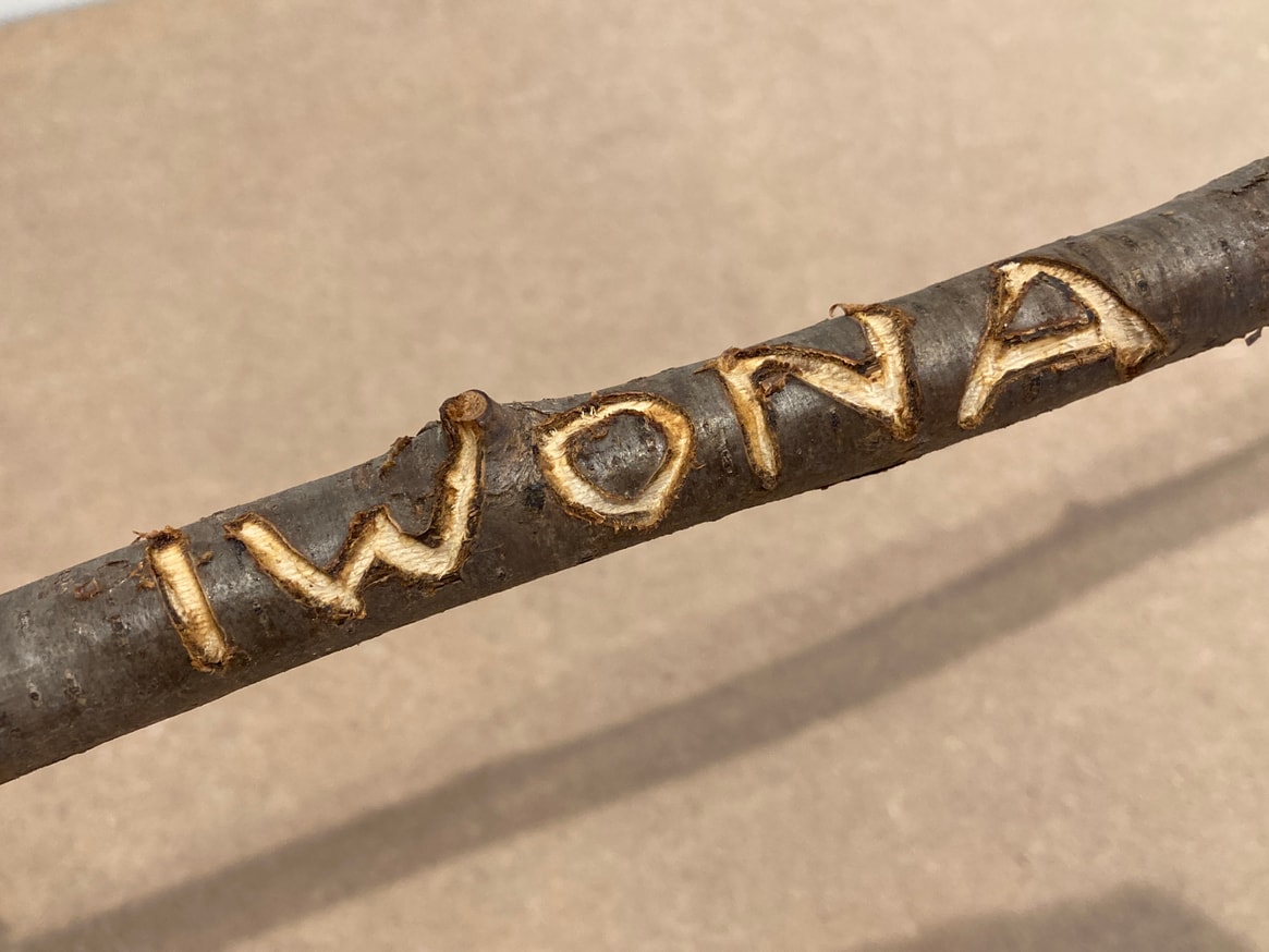 Art World Celebrity Sticks (Iwona Blazwick) thumbnail 2