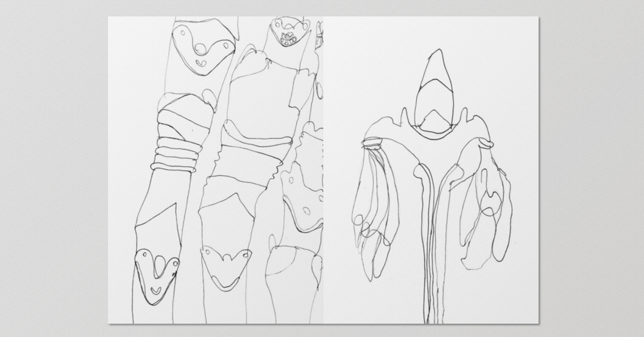 Tiere und Pflanzen thumbnail 3